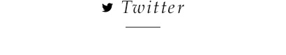 twitter